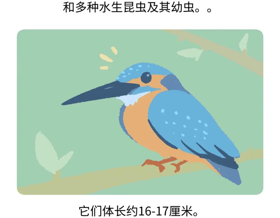 《胖达x胖达》第219话 第18页