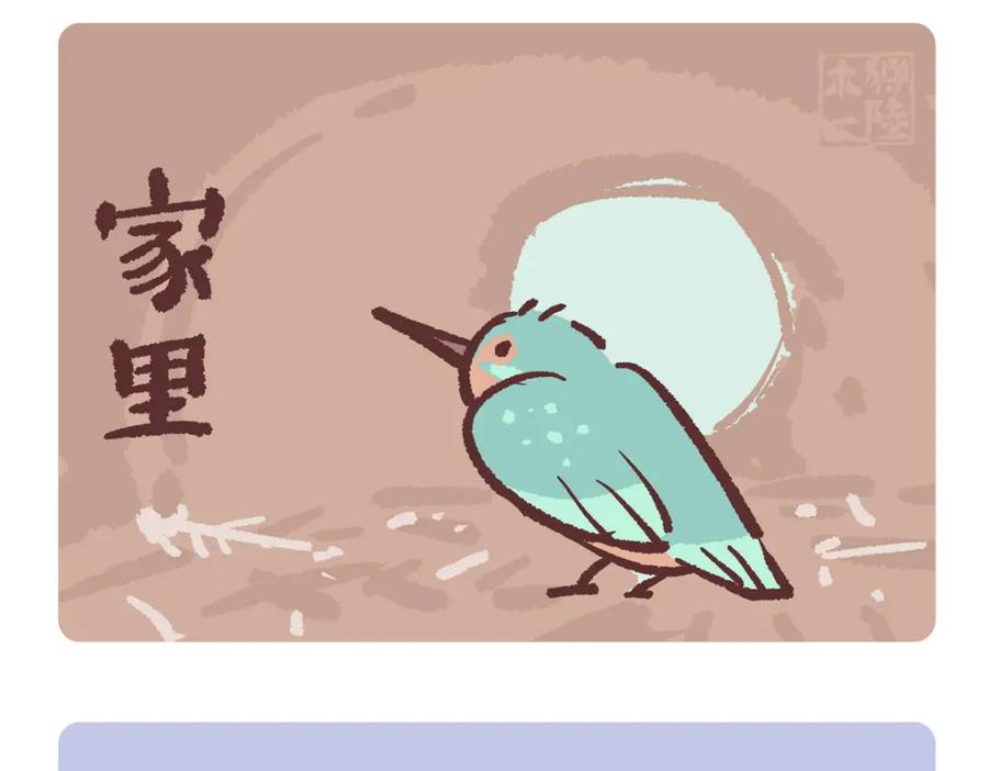 《胖达x胖达》第219话 第14页