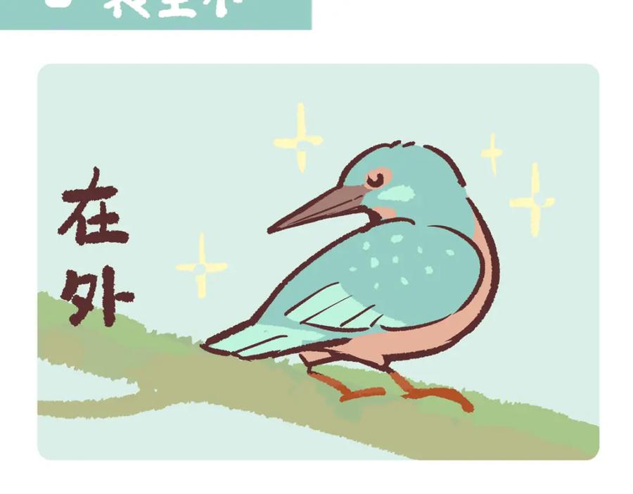 《胖达x胖达》第219话 第12页