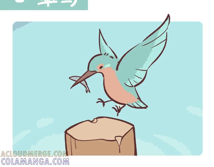 《胖达x胖达》第219话 第7页