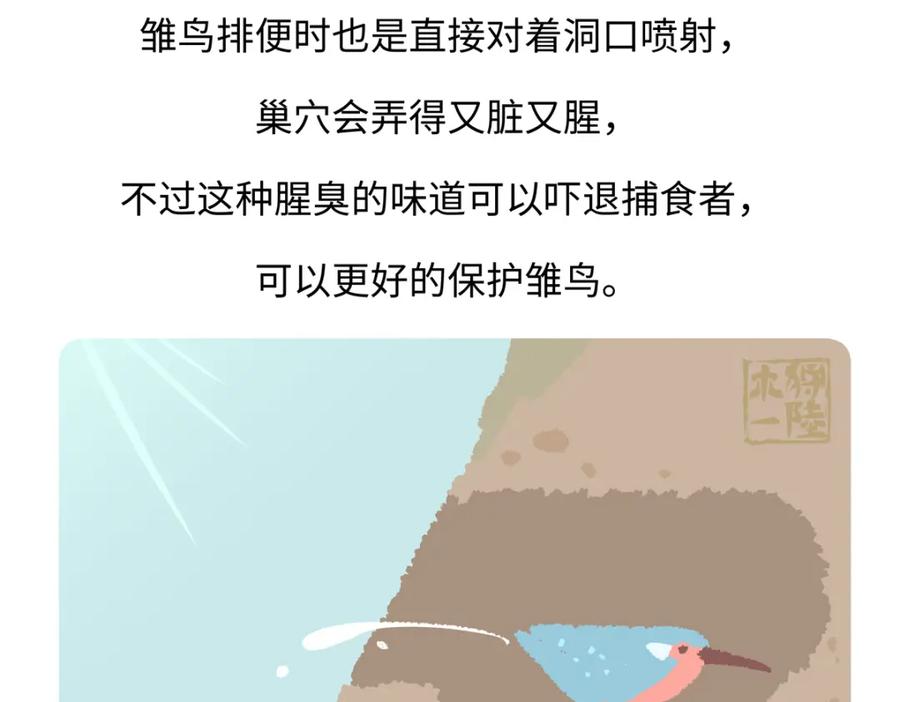 《胖达x胖达》第219话 第26页