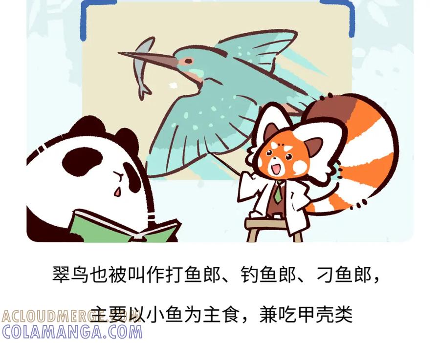 《胖达x胖达》第219话 第17页