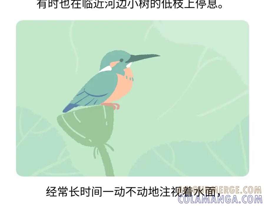 《胖达x胖达》第220话 第19页