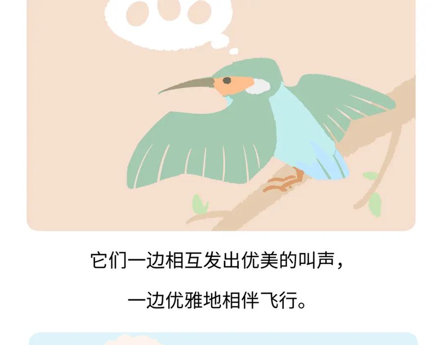《胖达x胖达》第220话 第26页