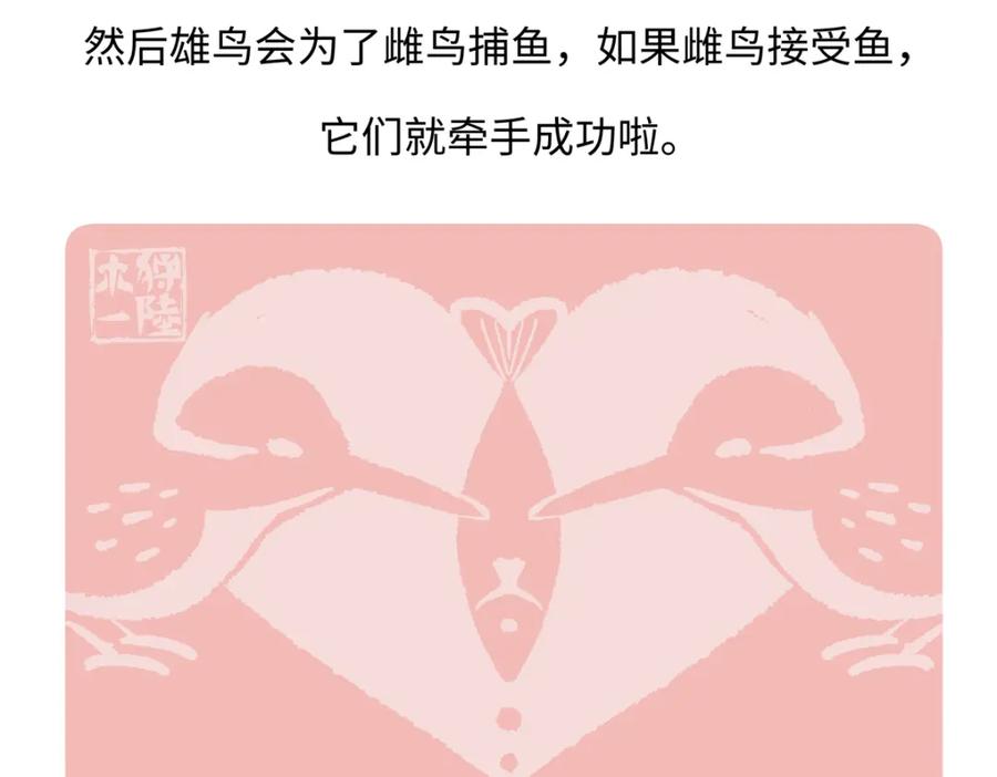 《胖达x胖达》第220话 第28页