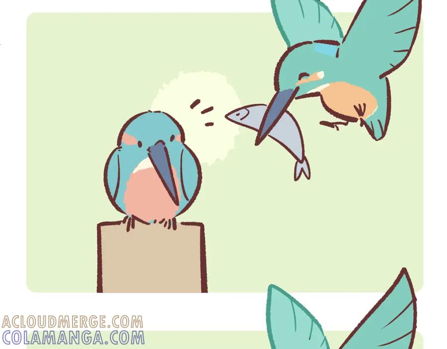 《胖达x胖达》第220话 第13页