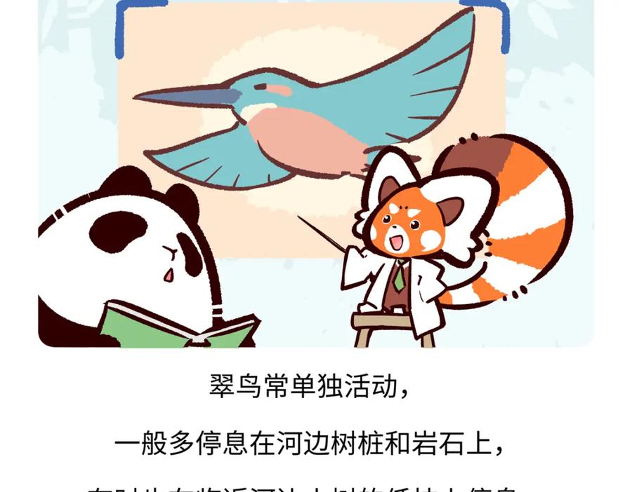 《胖达x胖达》第220话 第18页