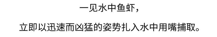 《胖达x胖达》第220话 第20页