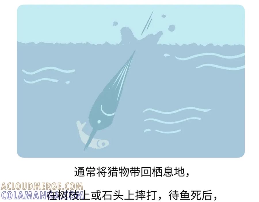 《胖达x胖达》第220话 第21页
