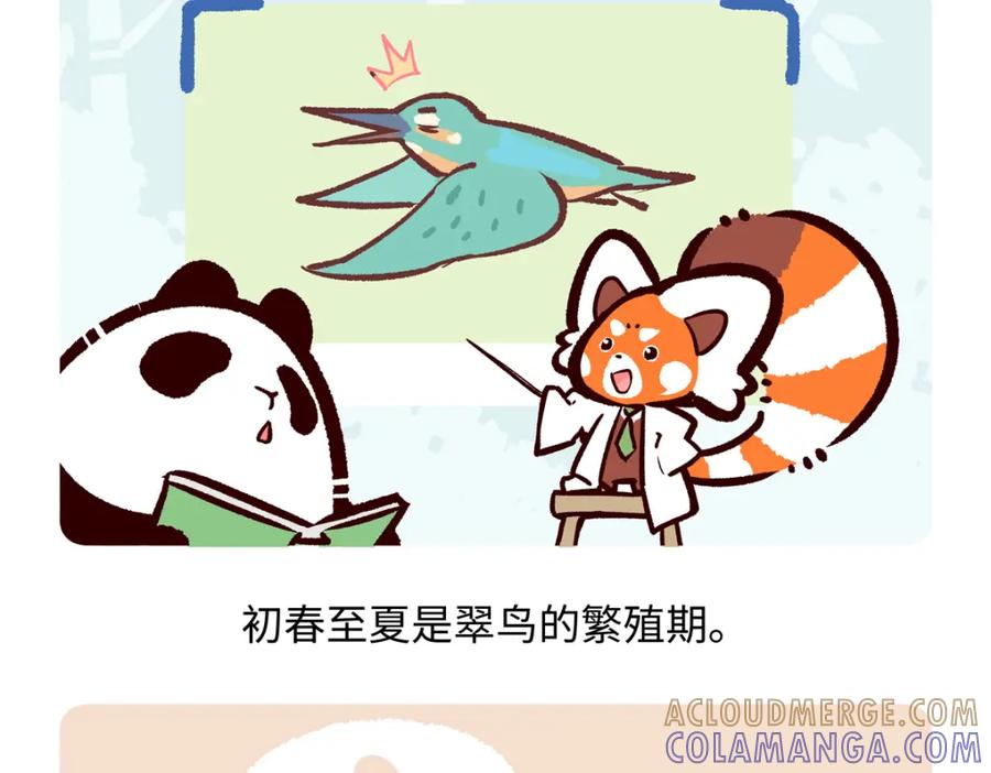 《胖达x胖达》第220话 第25页