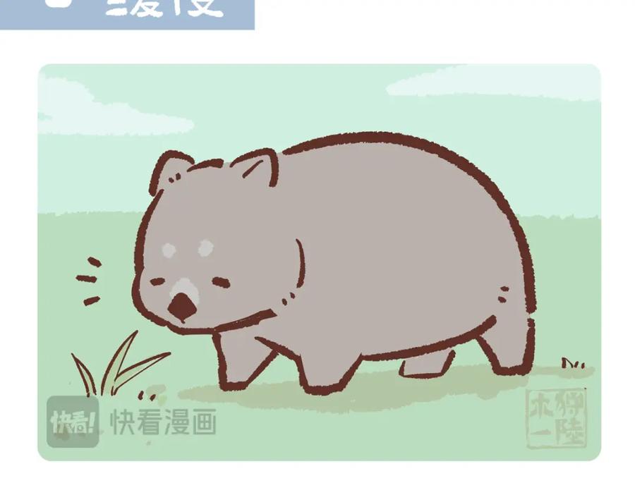《胖达x胖达》第221话 第8页