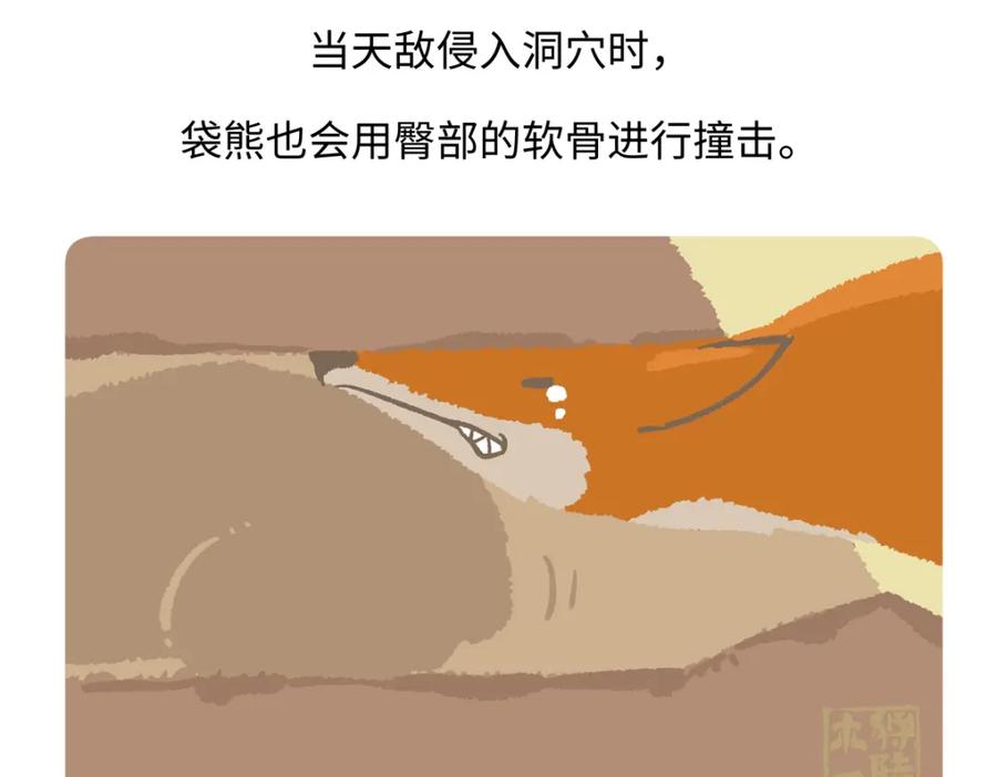 《胖达x胖达》第221话 第28页