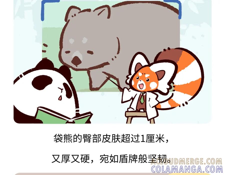 《胖达x胖达》第221话 第25页