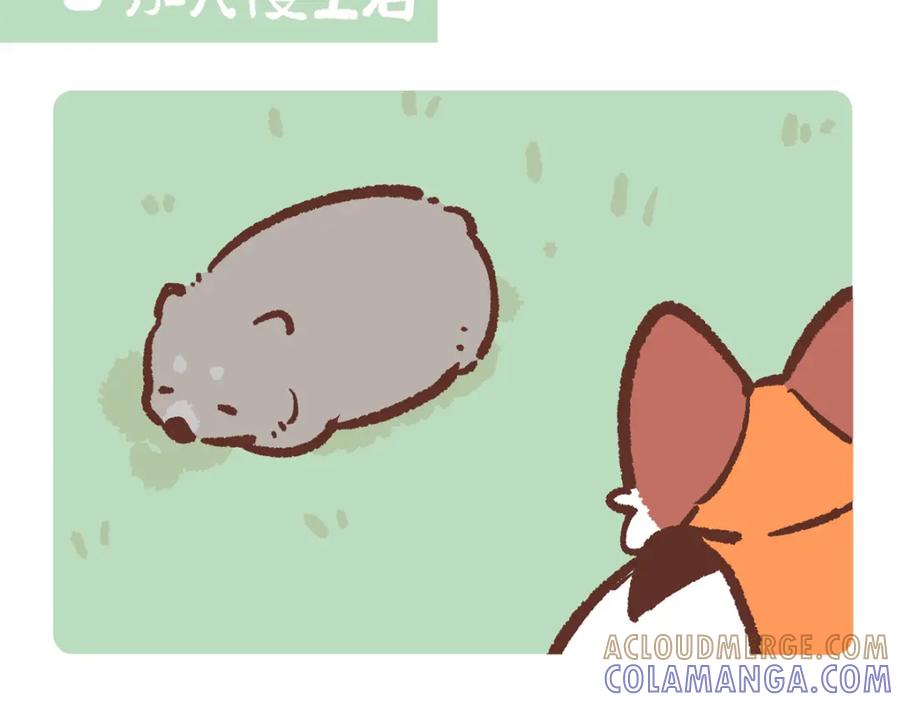 《胖达x胖达》第221话 第13页