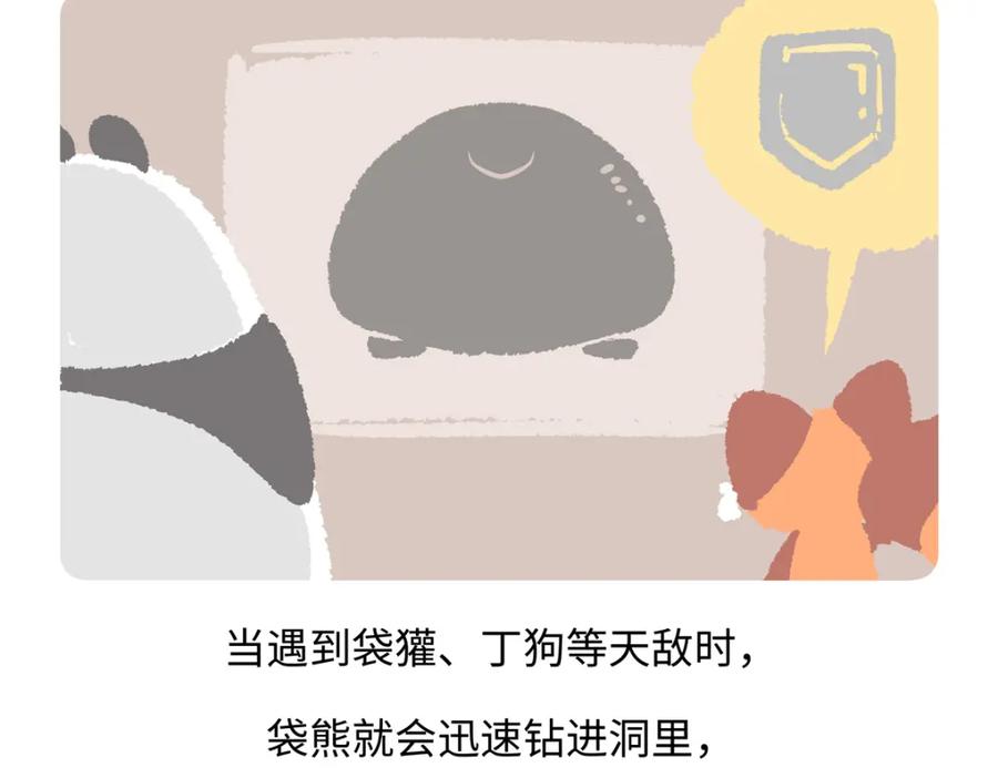 《胖达x胖达》第221话 第26页