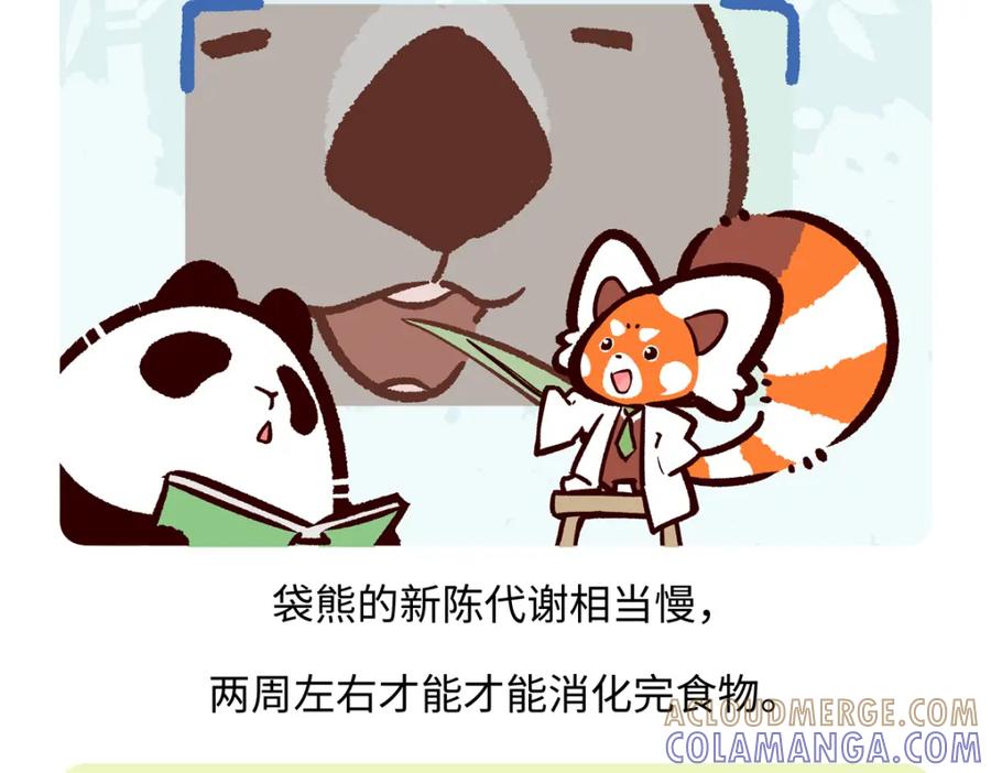 《胖达x胖达》第221话 第19页