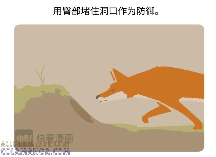 《胖达x胖达》第221话 第27页