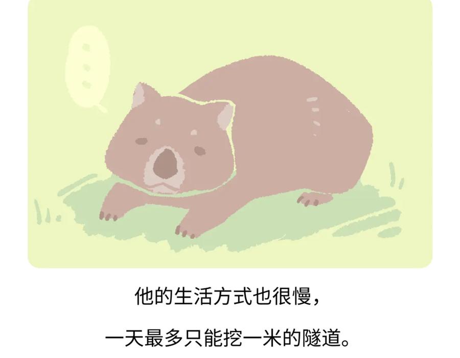 《胖达x胖达》第221话 第20页