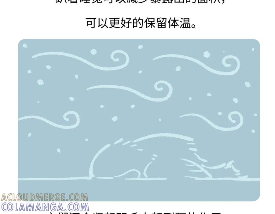 《胖达x胖达》第222话 第21页