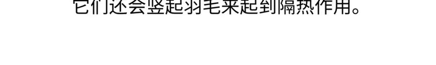 《胖达x胖达》第222话 第22页