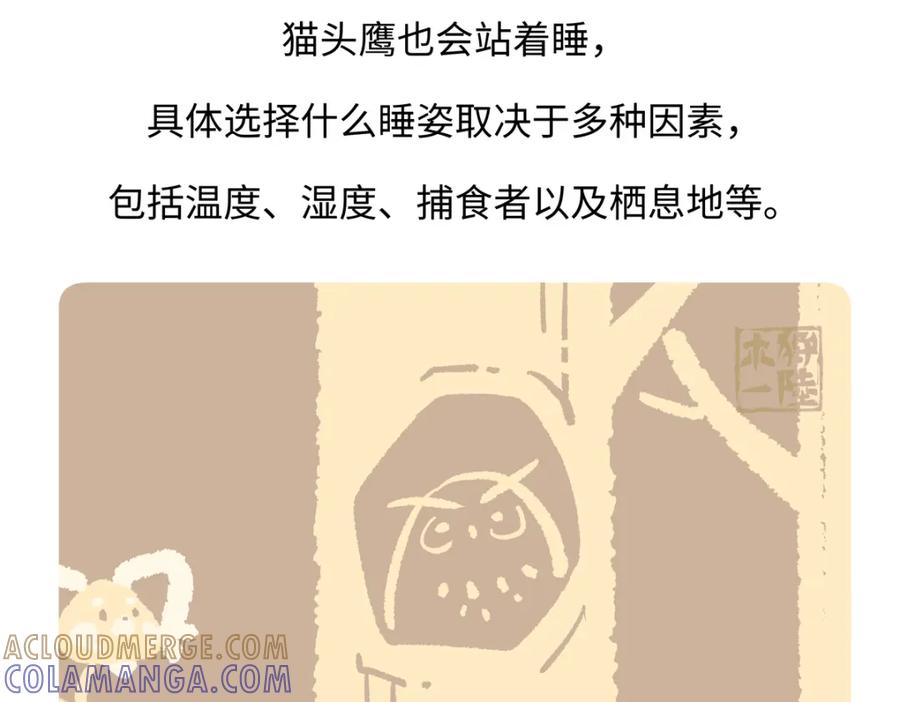 《胖达x胖达》第222话 第27页