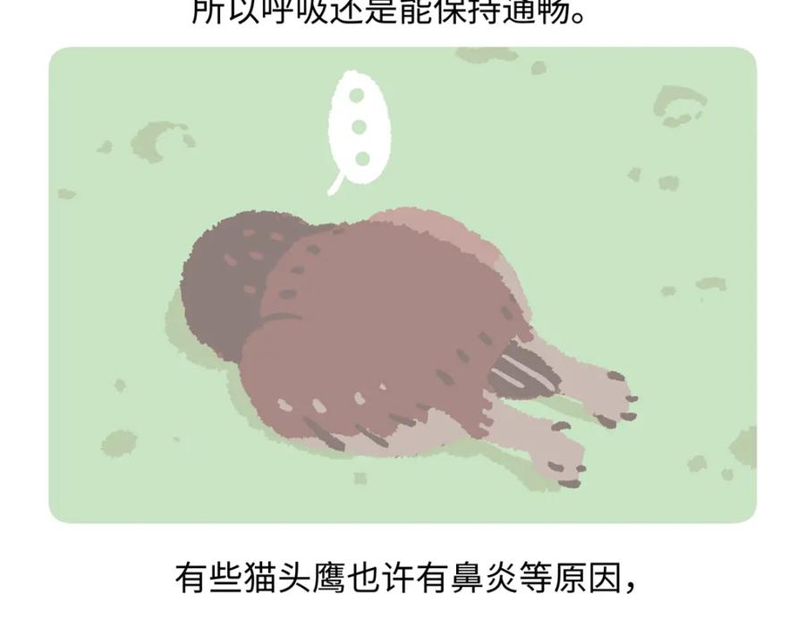 《胖达x胖达》第222话 第18页