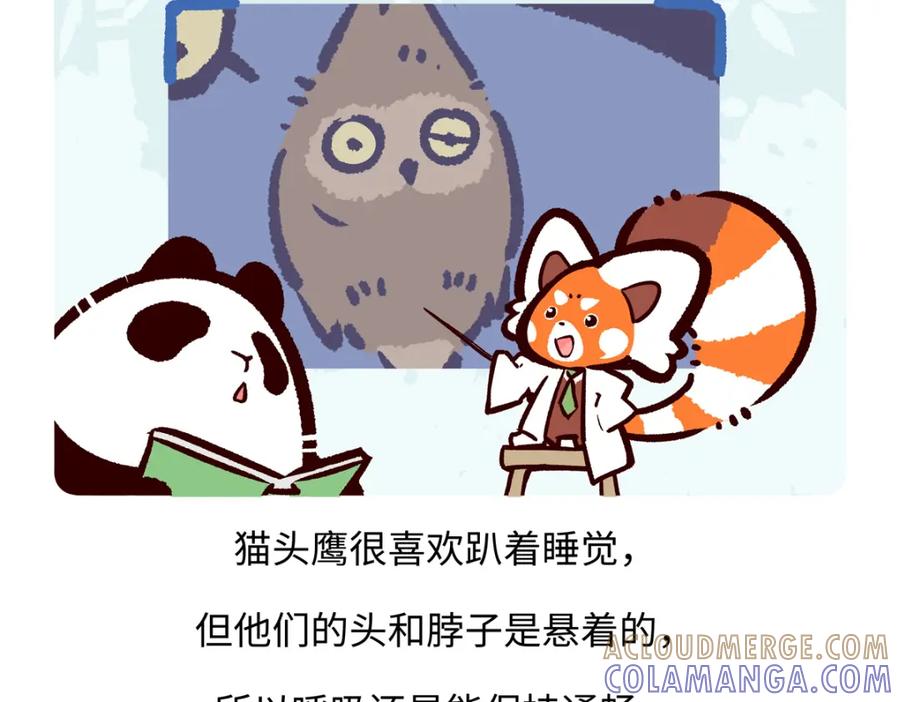 《胖达x胖达》第222话 第17页