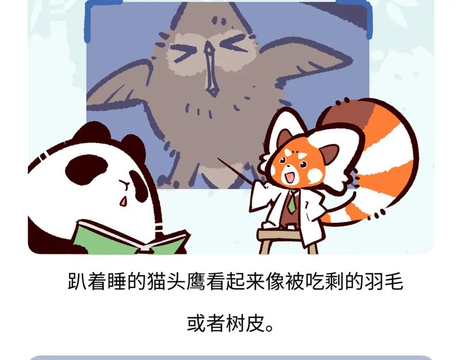 《胖达x胖达》第222话 第24页