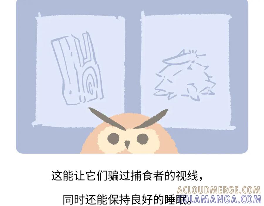 《胖达x胖达》第222话 第25页