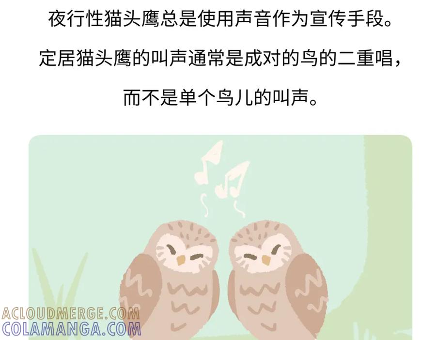 《胖达x胖达》第223话 第25页