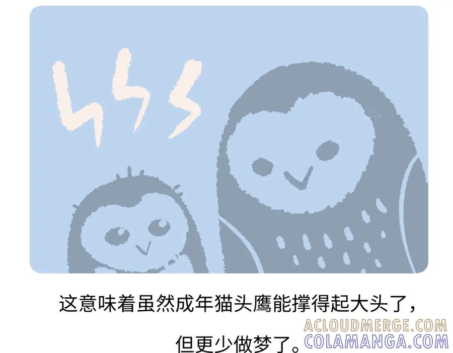《胖达x胖达》第223话 第19页