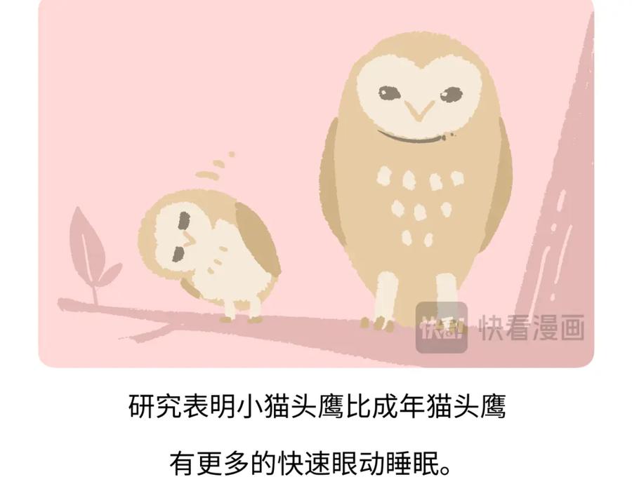 《胖达x胖达》第223话 第18页