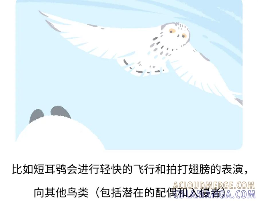《胖达x胖达》第223话 第23页