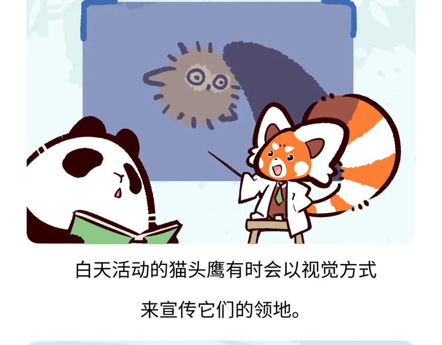 《胖达x胖达》第223话 第22页