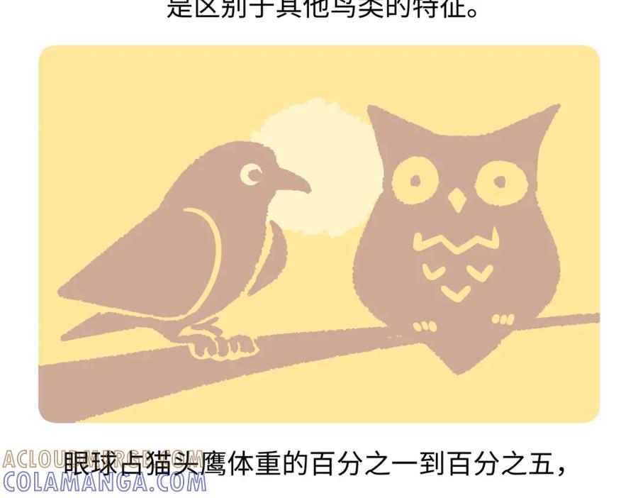《胖达x胖达》第224话 第21页