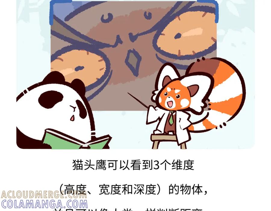 《胖达x胖达》第224话 第27页