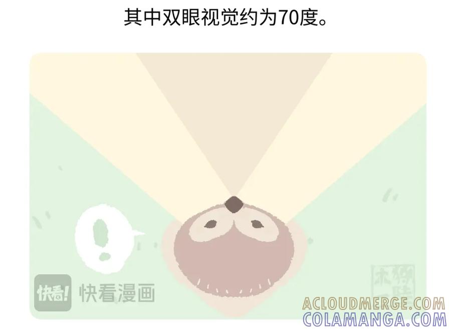 《胖达x胖达》第224话 第29页
