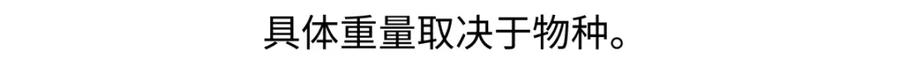 《胖达x胖达》第224话 第22页