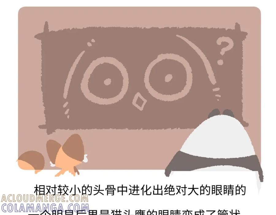 《胖达x胖达》第224话 第23页