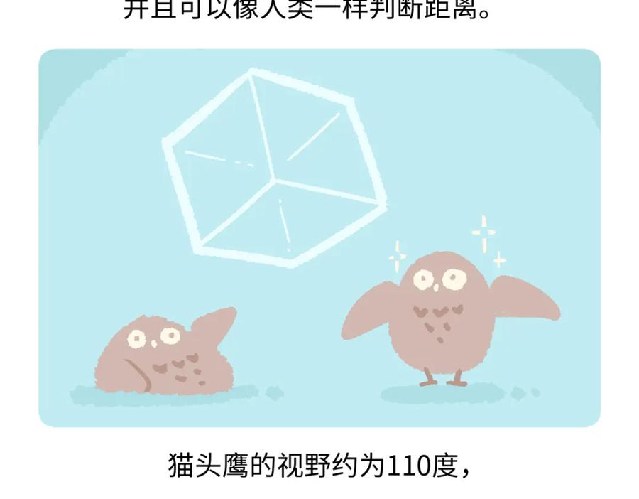 《胖达x胖达》第224话 第28页