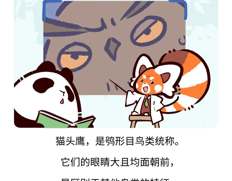 《胖达x胖达》第224话 第20页