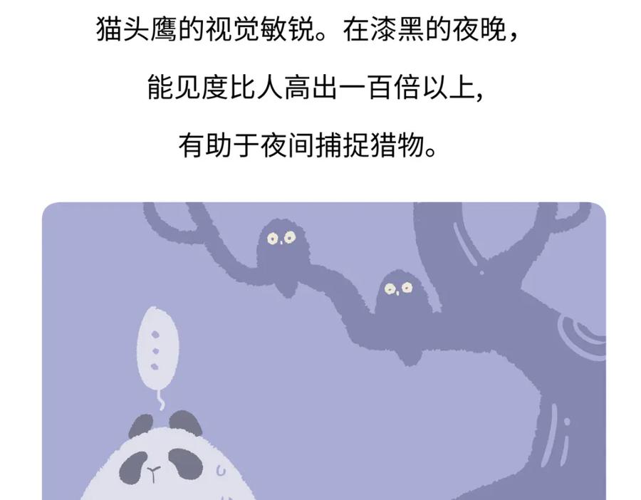 《胖达x胖达》第224话 第30页