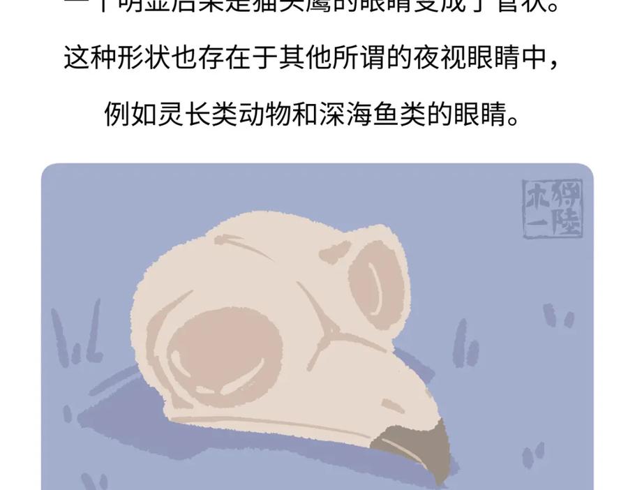 《胖达x胖达》第224话 第24页
