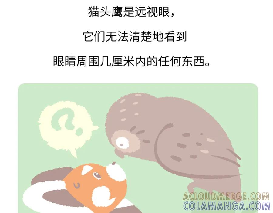 《胖达x胖达》第225话 第29页
