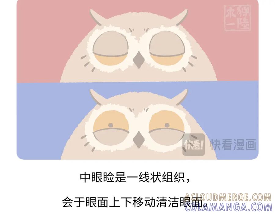 《胖达x胖达》第225话 第27页