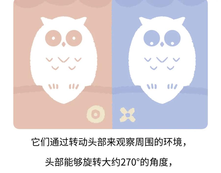 《胖达x胖达》第225话 第20页