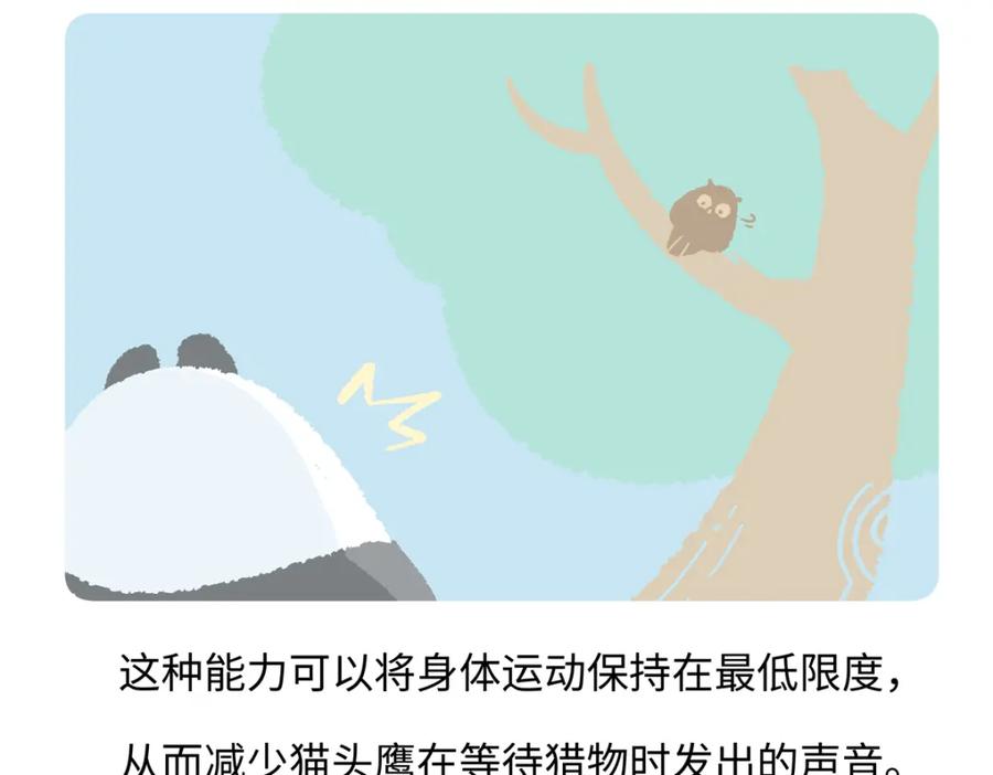 《胖达x胖达》第225话 第22页