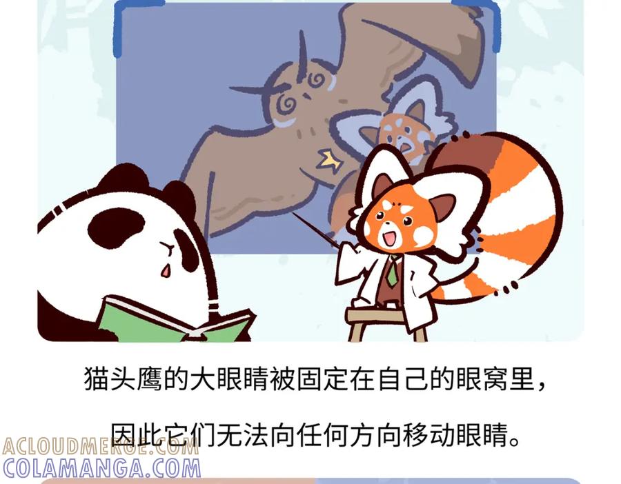 《胖达x胖达》第225话 第19页