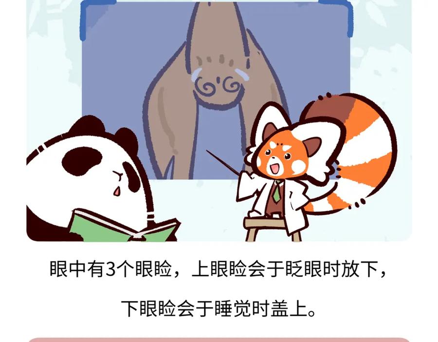 《胖达x胖达》第225话 第26页