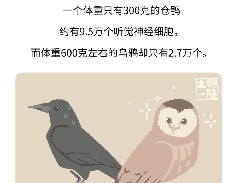 《胖达x胖达》第226话 第28页